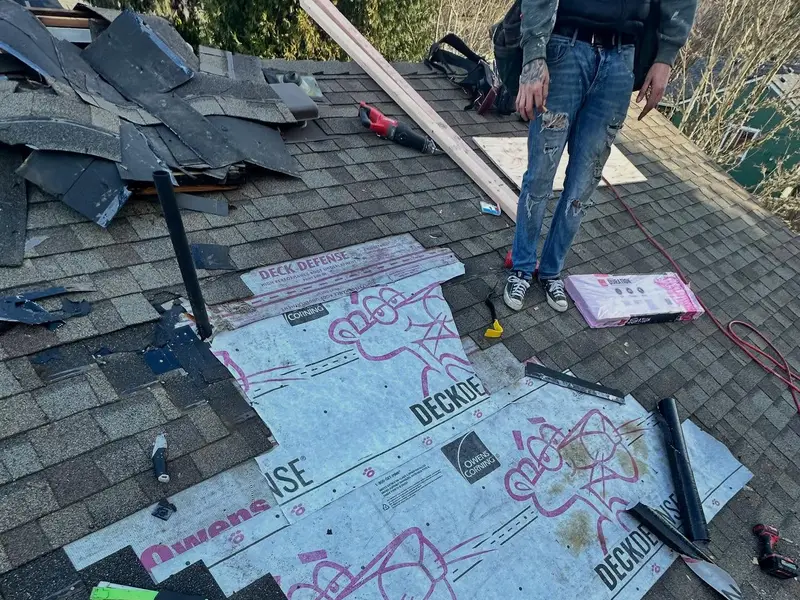 Roof and gutter cleaning near Portland, OR